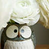My Incredible Carlsbad Ranunculus : 